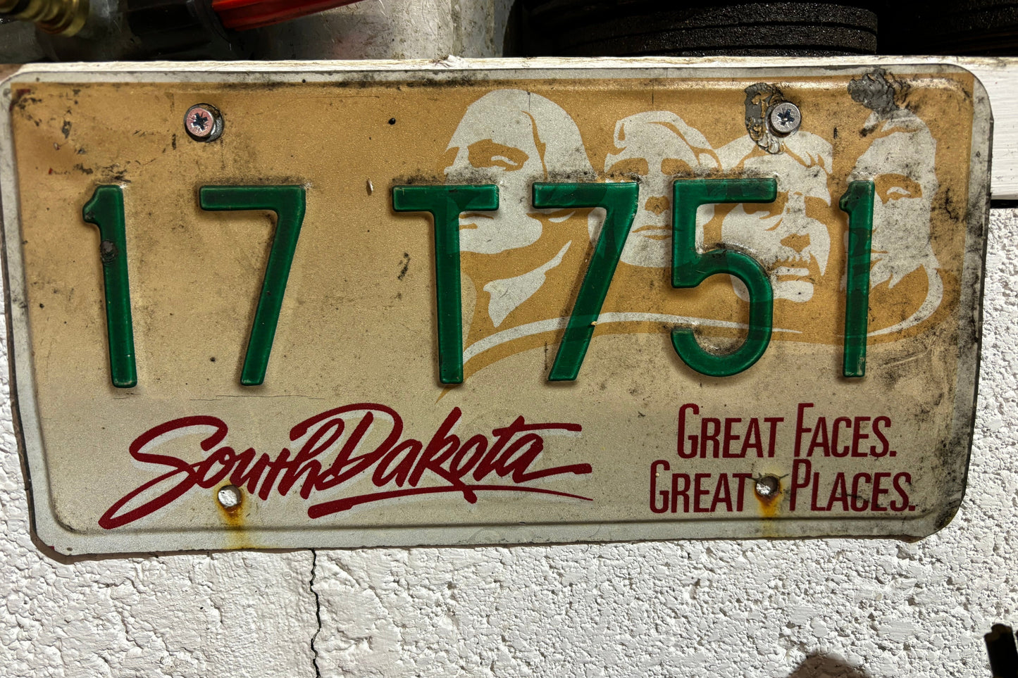 17 T751 South Dakota License Plate