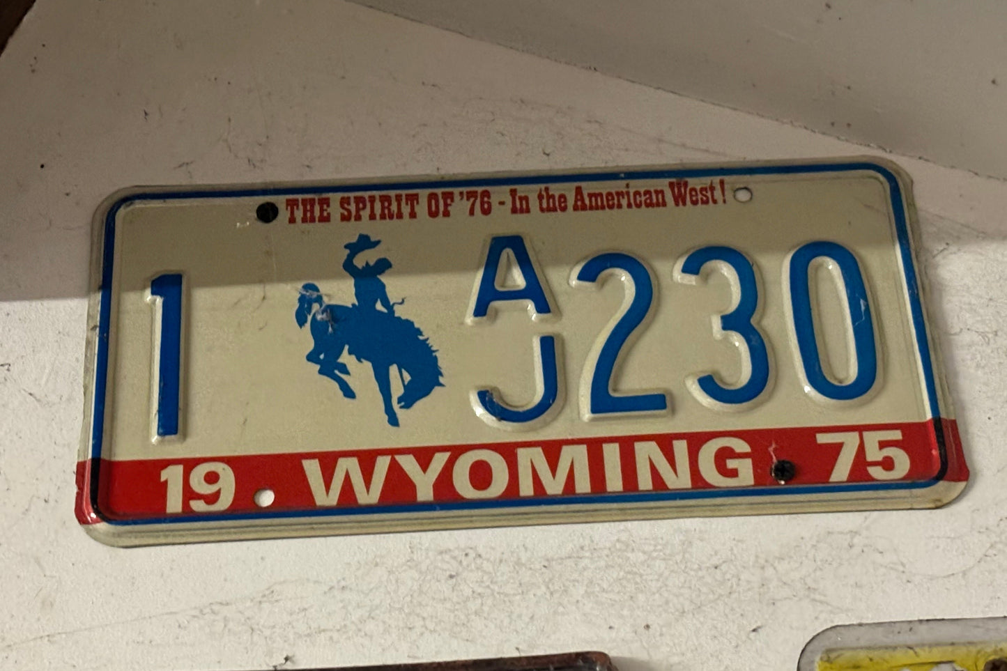 1 AJ230 Wyoming License Plate