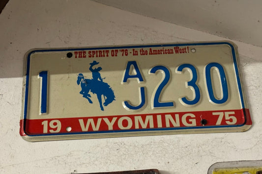 1 AJ230 Wyoming License Plate