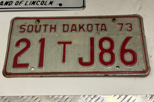 21 T J86 South Dakota License Plate